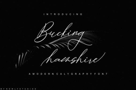 Bucking Hamshire: A Thoughtful Script Font for Editorial Warmth