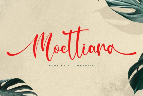 Moettiara: A Designer’s Honest Review for Real-World Branding